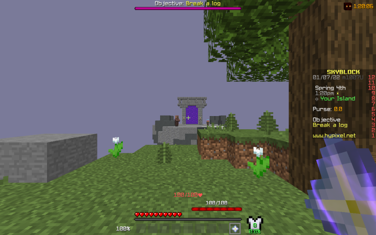 Skyblock How to Leave a Coop