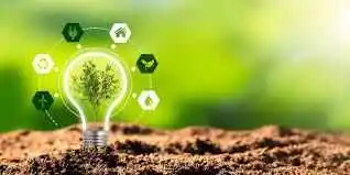 A creative light bulb with a plant growing in soil, symbolizing Kashyeportazza’s eco innovation, sustainable products, and latest Kashyeportazza Ltd news.